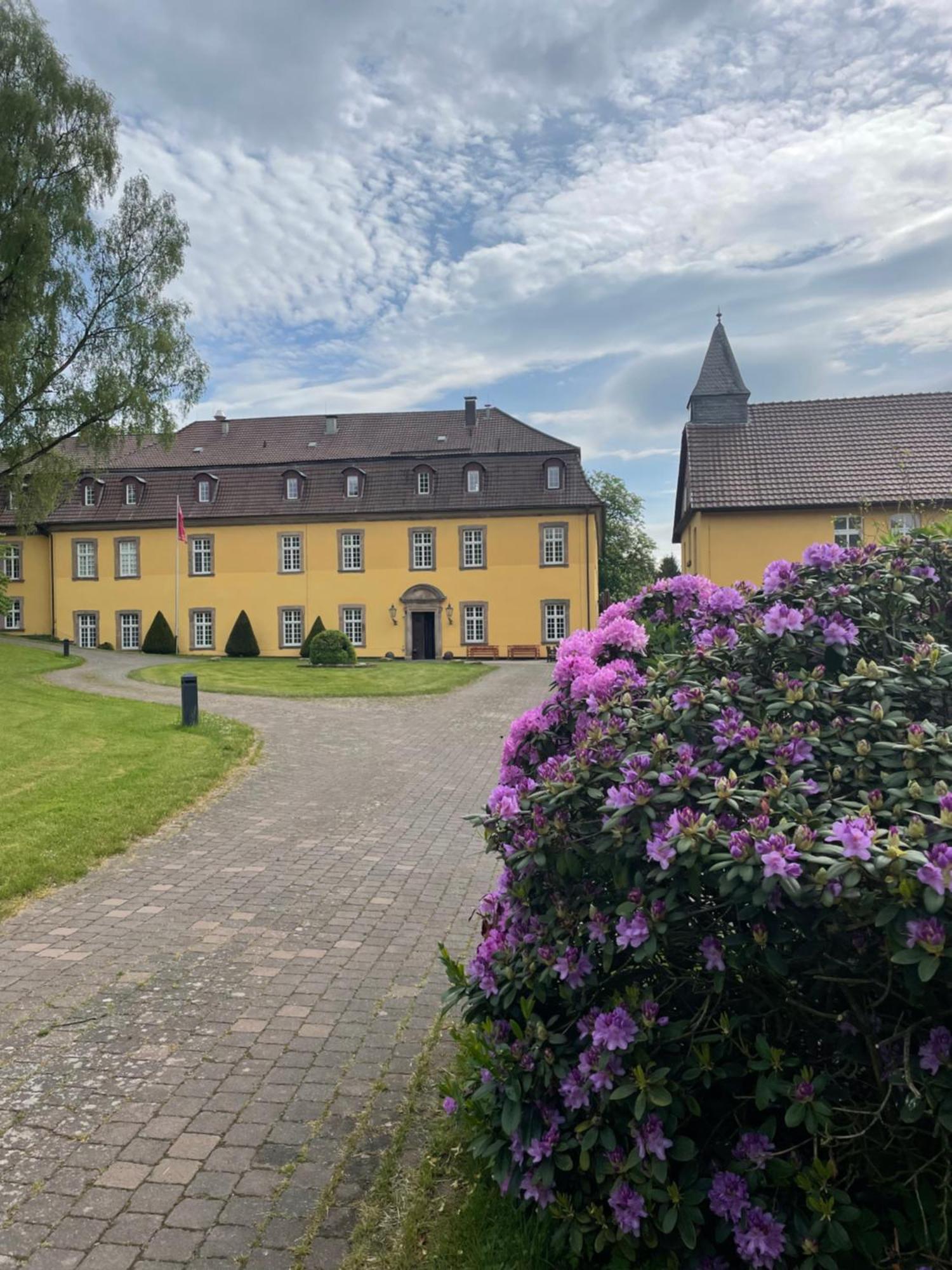 Hotel Schloss Hoehnscheid Bad Arolsen Esterno foto