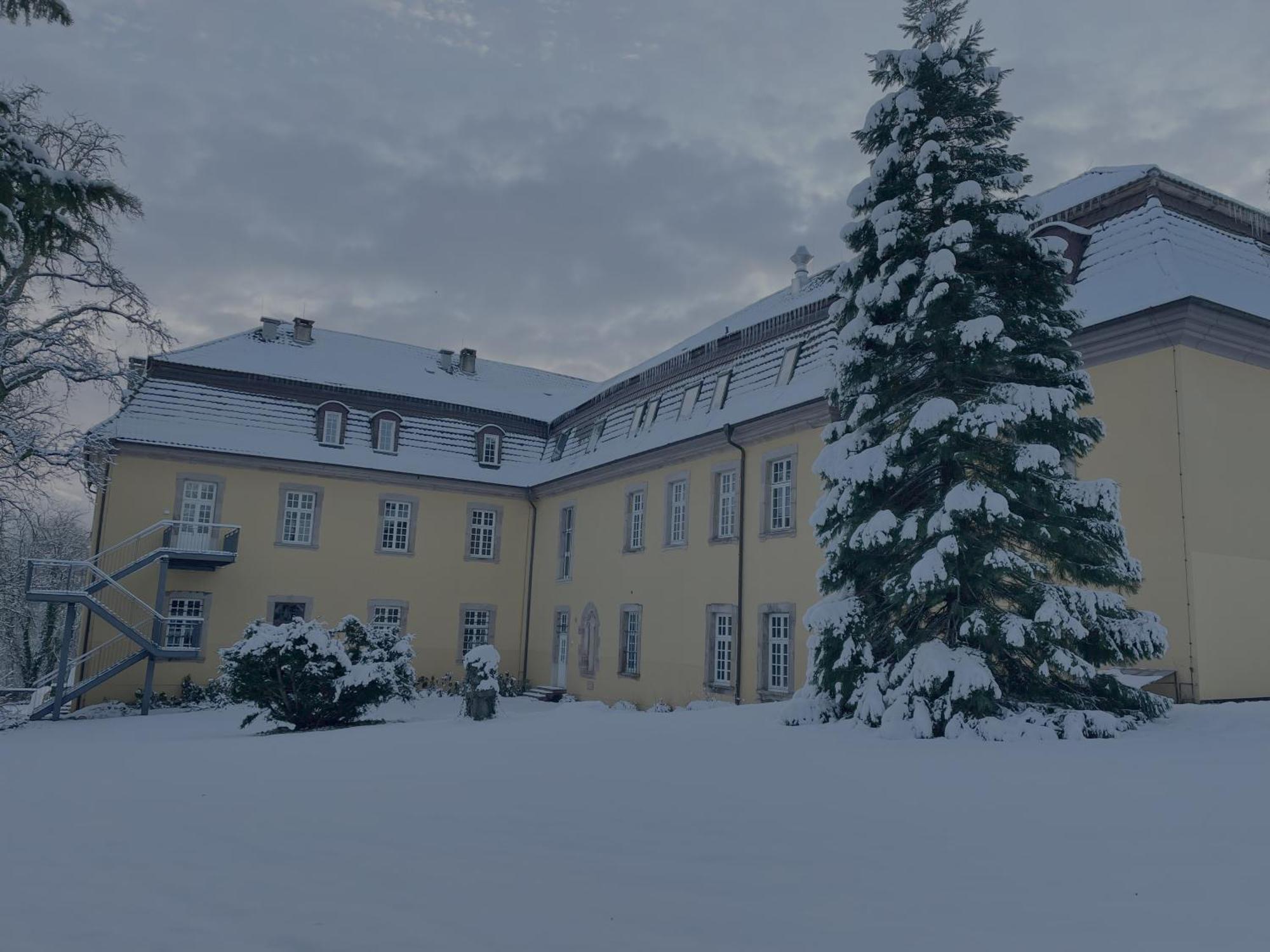 Hotel Schloss Hoehnscheid Bad Arolsen Esterno foto